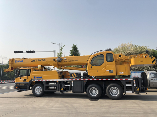 The Evolution of Cranes